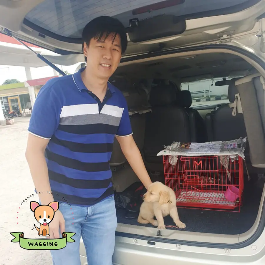 A man with a small dog beside an open car boot and a red pet carrier
