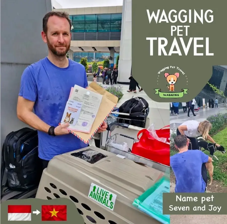 A man at the airport holding pet documents beside a travel crate