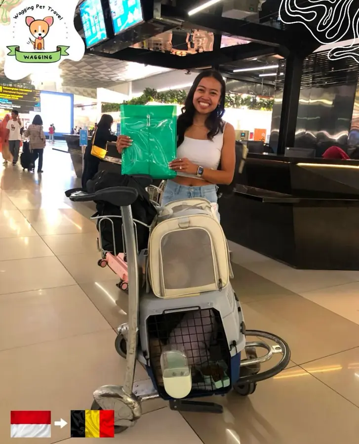 A woman at an airport with a pet carrier on a trolley