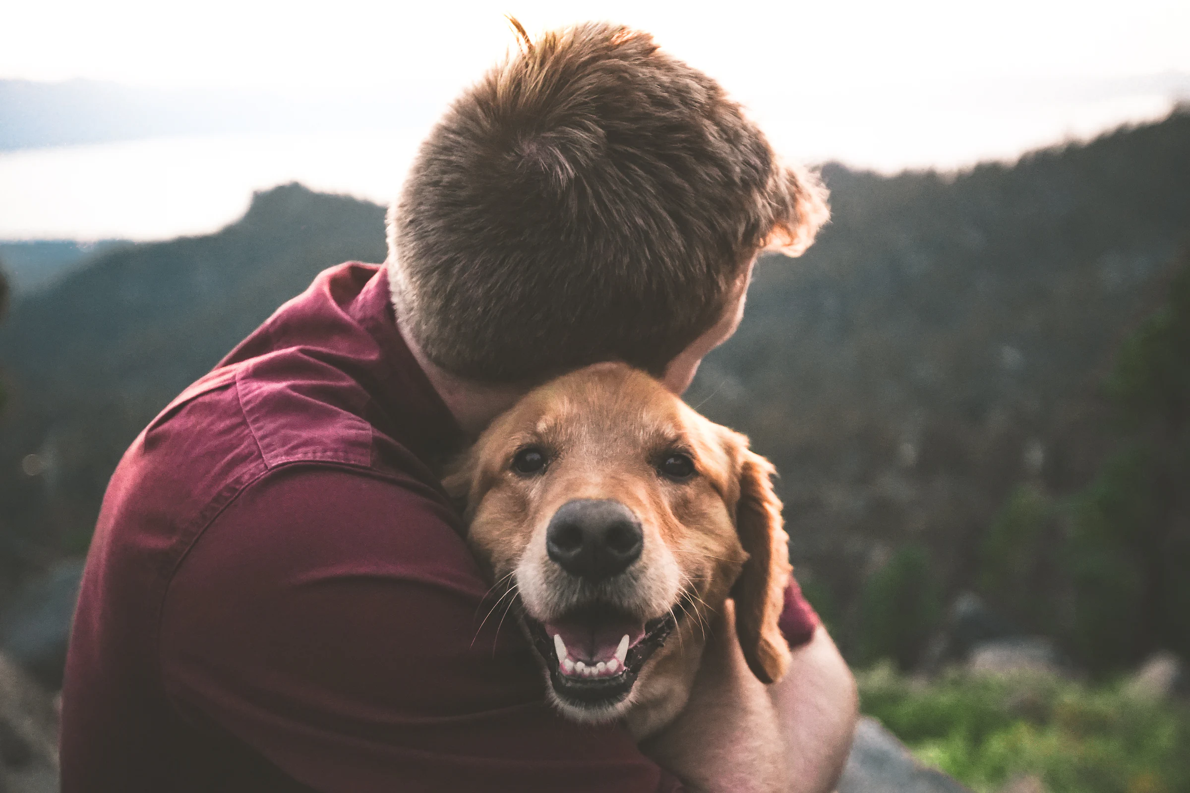 A man hugging his tan dog in front of the mountains